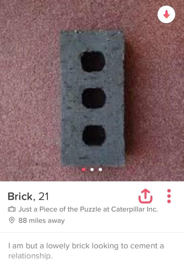 brick tinder - Brick, 21 Just a piece of the Puzzle at Caterpillar Inc. 88 miles away Tam but a lowely brick looking to cement a relationship.