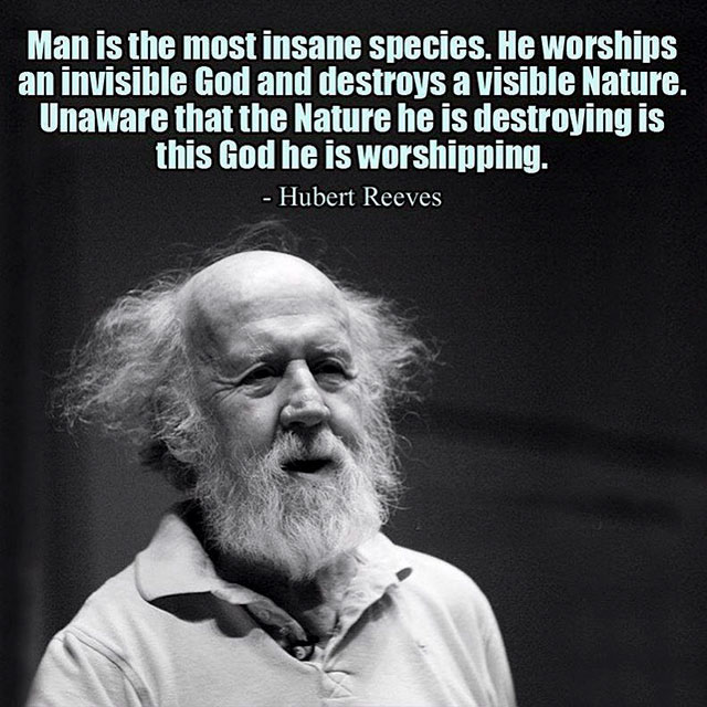 man worships an invisible god - Man is the most insane species. He worships an invisible God and destroys a visible Nature Unaware that the Nature he is destroying is this God he is worshipping. Hubert Reeves