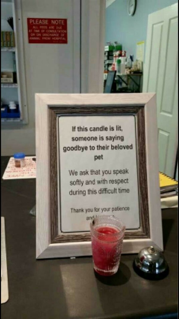 if this light is on someone is saying goodbye - Please Note If this candle is lit, someone is saying goodbye to their beloved pet We ask that you speak softly and with respect during this difficult time Thank you for your patience an