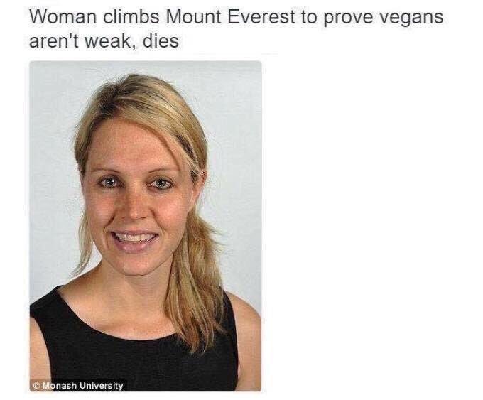 vegan mt everest - Woman climbs Mount Everest to prove vegans aren't weak, dies Monash University