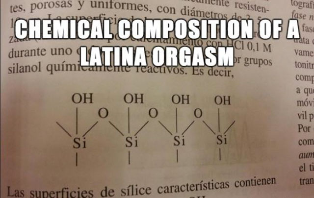memes - chemical composition of a latina orgasm