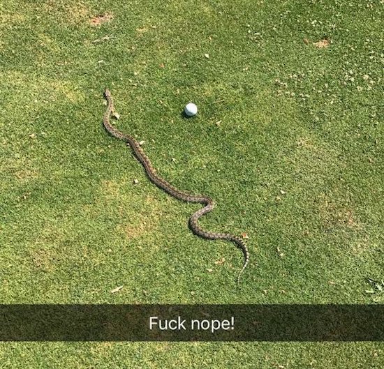 grass - Fuck nope!