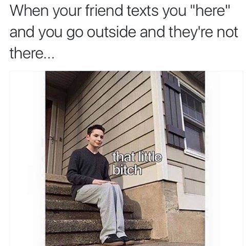 little bitch meme - When your friend texts you "here" and you go outside and they're not there... that little bitch