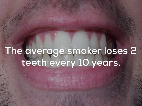 lip - The average smoker loses 2 teeth every 10 years.