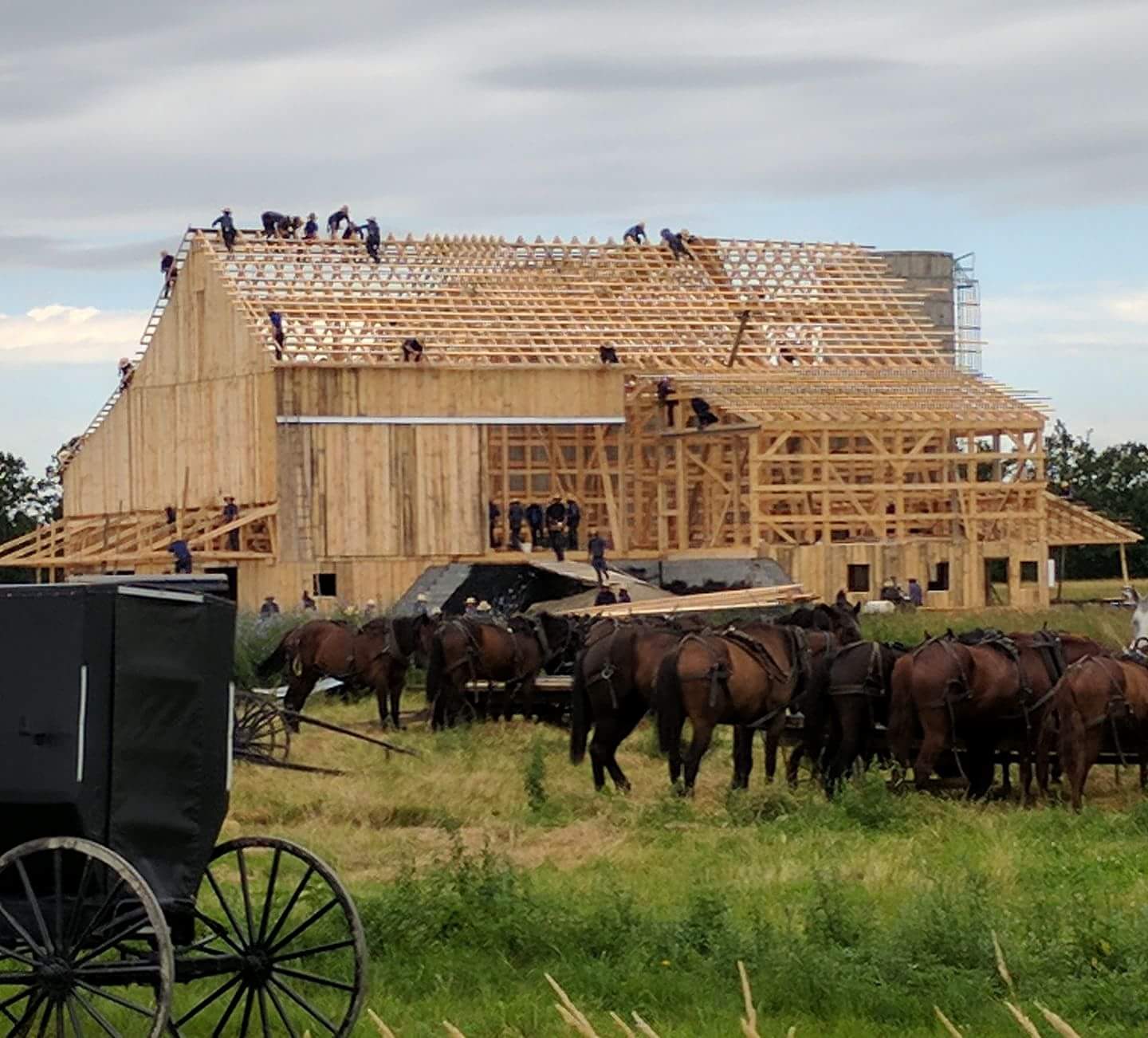 The Amish raising a barn in Hammond, NY in 2017