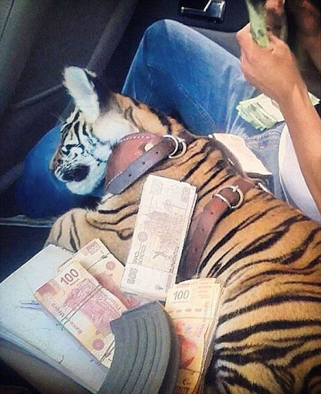 A Glimpse Into The Lavish Lifestyle Of The Kid’s Of Mexican Drug Cartels