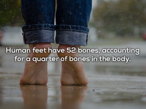 30 fascinating health and body facts