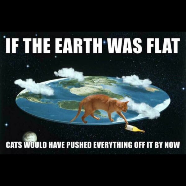 cat meme funny - If The Earth Was Flat Cats Would Have Pushed Everything Off It By Now