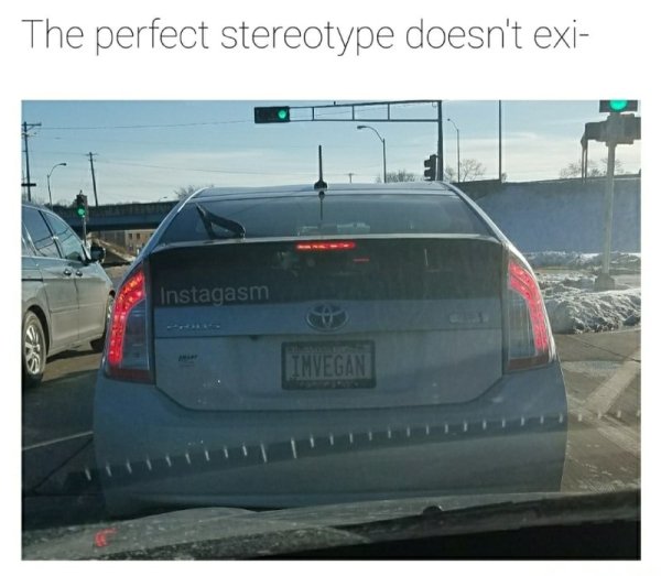 100% chance meme - The perfect stereotype doesn't exi Instagasm Sie