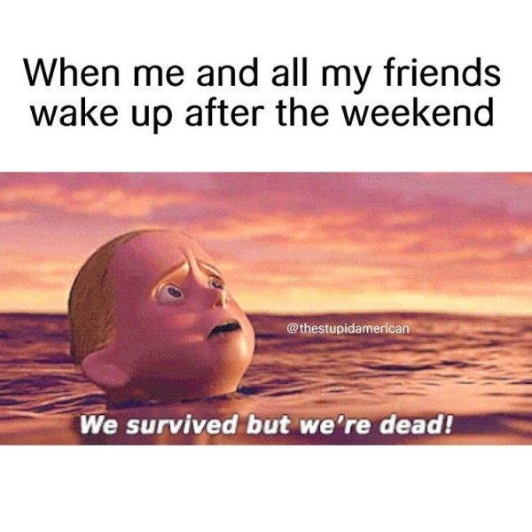 we survived but we re dead - When me and all my friends wake up after the weekend We survived but we're dead!
