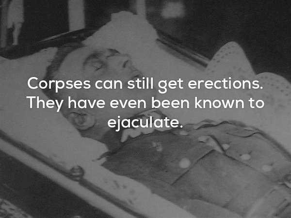 Creepy meme about how corpses get erections and can even ejaculate and get a woman pregnant.