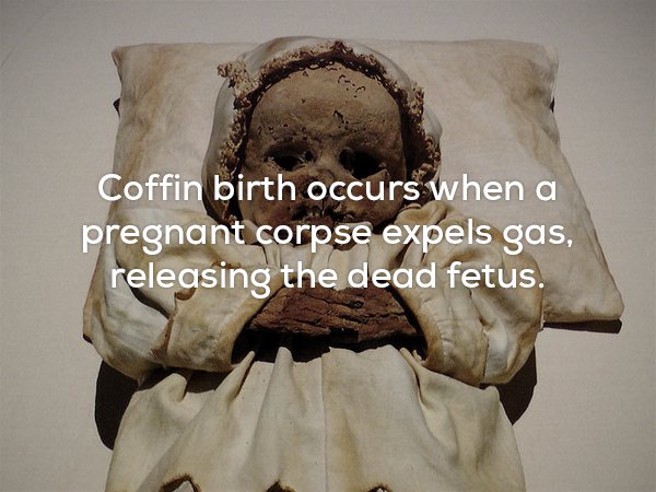 Gross and creepy meme about coffin births.
