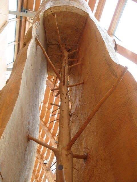 The rings of this log were carved away to reveal what the tree looked like as a sapling