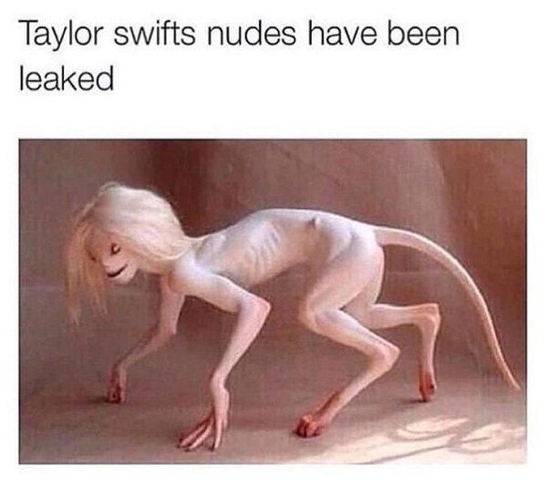 wtf taylor swift nude meme - Taylor swifts nudes have been leaked