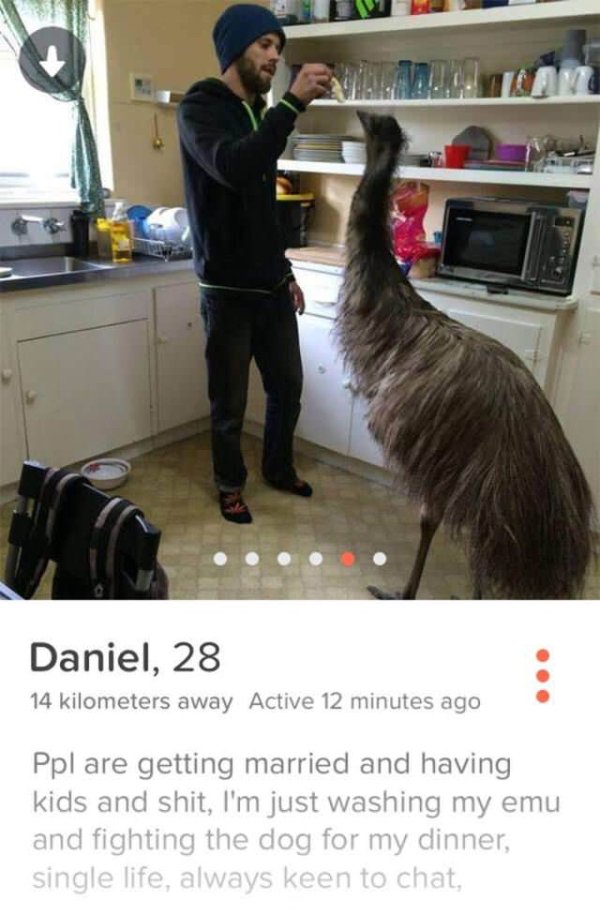 Daniel, 28 14 kilometers away Active 12 minutes ago Ppl are getting married and having kids and shit, I'm just washing my emu and fighting the dog for my dinner, single life, always keen to chat,