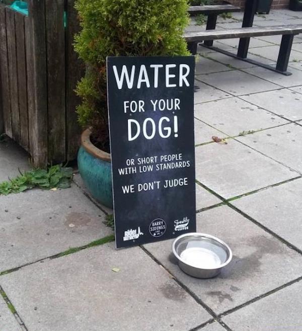 funny cafe chalkboard signs - Water For Your Dog! Or Short People With Low Standards We Don'T Judge