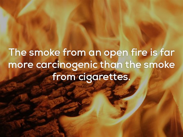 creep facts - The smoke from an open fire is far more carcinogenic than the smoke from cigarettes.