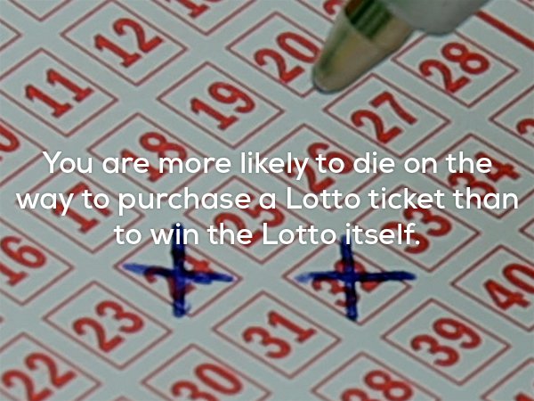 sa lotto ticket - You are more ly to die on the way to purchase a Lotto ticket than to win the Lotto itself. 22 23 X 25 26 27 28 8 39 40