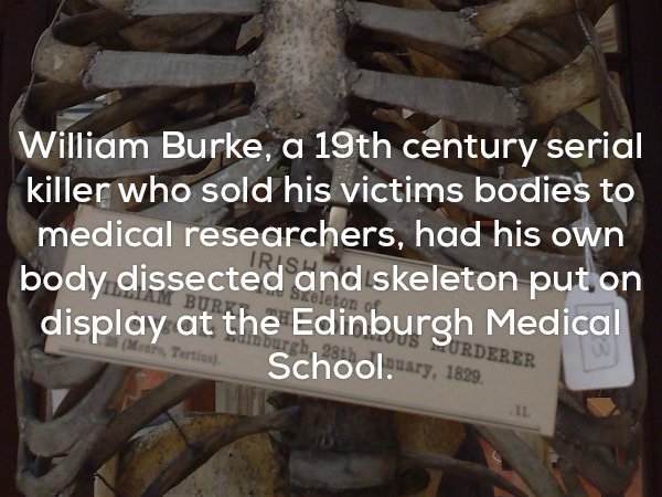 William Burke, a 19th century serial killer who sold his victims bodies to medical researchers, had his own body dissected and skeleton put on display at the Edinburgh Medical School.uary, 1829. Purderer Tertius. Il
