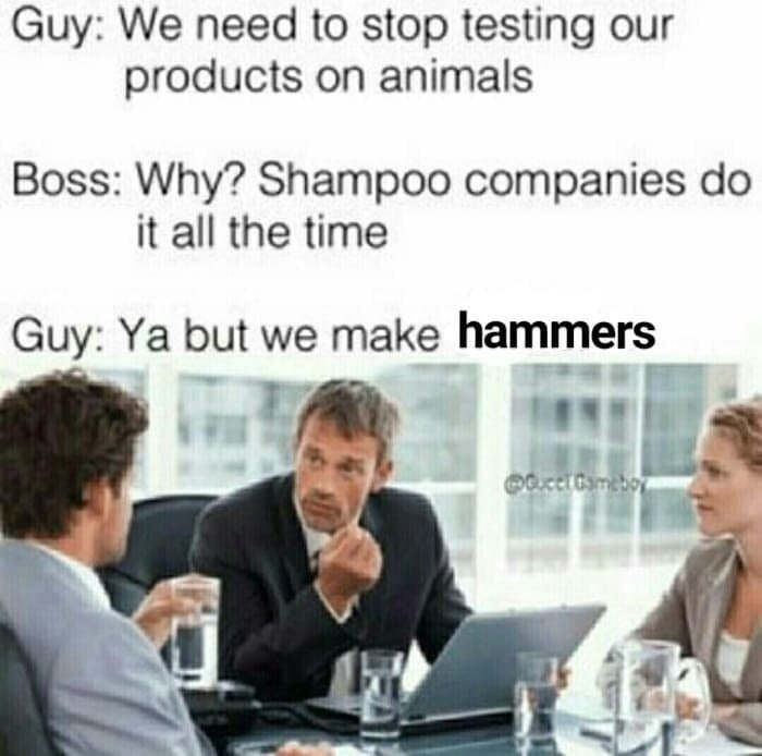 Meeting meme about needing to stop testing products on animals and boss argues that Shampoo companies do it all the time, but this is a company that makes HAMMERS
