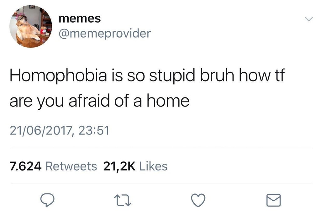 Tweet of someone who thinks that homophobia is fear of a home.