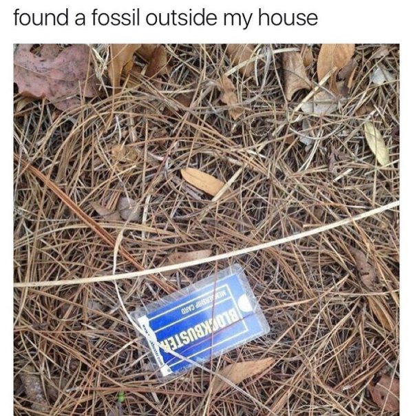 fossil meme blockbuster - found a fossil outside my house GHY3 Isson Yasnax2018