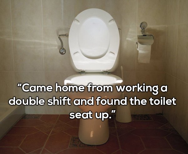 banheiro publico - "Came home from working a double shift and found the toilet seat up."
