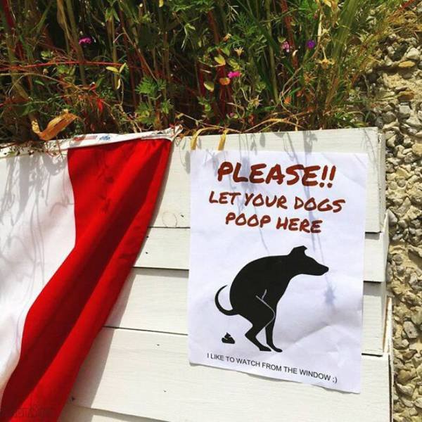 banner - Please!! Let Your Dogs Poop Here I To Watch From The Window