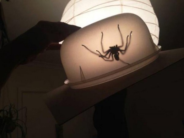 20 pics full of nope