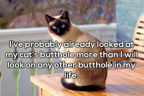 20 Shower thoughts are a total mind f*ck!