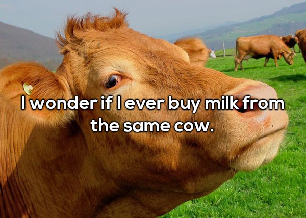 20 Shower thoughts are a total mind f*ck!