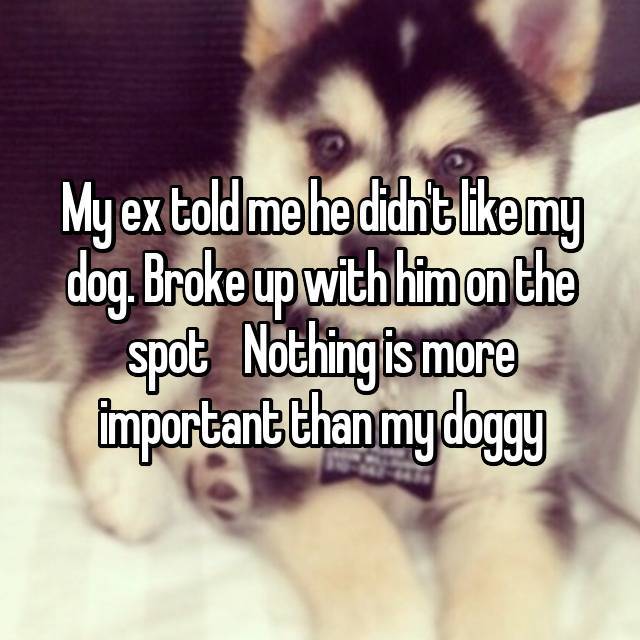 photo caption - My ex told me he didn't my dog. Broke up with him on the spot Nothing is more important than my doggy