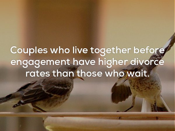 good morning karma quotes - Couples who live together before engagement have higher divorce rates than those who wait.