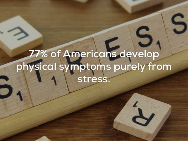 wood - 77% of Americans develop physical symptoms purely from stress.