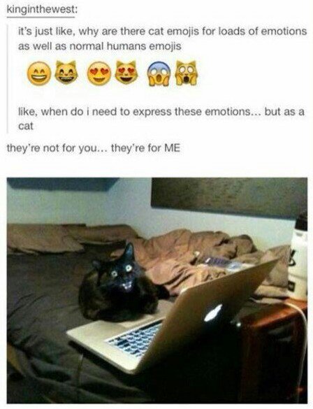 tumblr - cat text posts - kinginthewest it's just , why are there cat emojis for loads of emotions as well as normal humans emojis , when do i need to express these emotions... but as a cat they're not for you... they're for Me