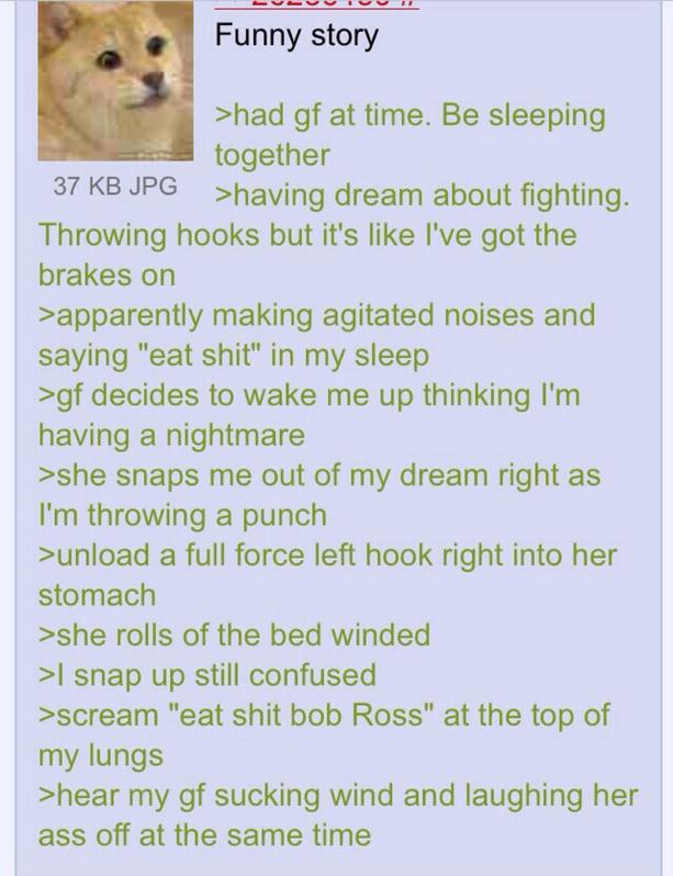 tumblr - funniest greentext memes - Funny story >had gf at time. Be sleeping together 37 Kb Jpg >having dream about fighting. Throwing hooks but it's I've got the brakes on >apparently making agitated noises and saying "eat shit" in my sleep >gf decides t