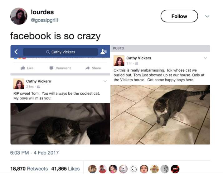 buried wrong cat - lourdes facebook is so crazy Posts Q Cathy Vickers de Comment Cathy Vickers Ihr Ok this is really embarrassing. Idk whose cat we buried but, Tom just showed up at our house. Only at the Vickers house. Got some happy boys here. Cathy Vic