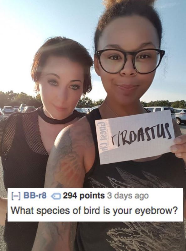 woman gets roasted asking what species of bird is her eyebrow