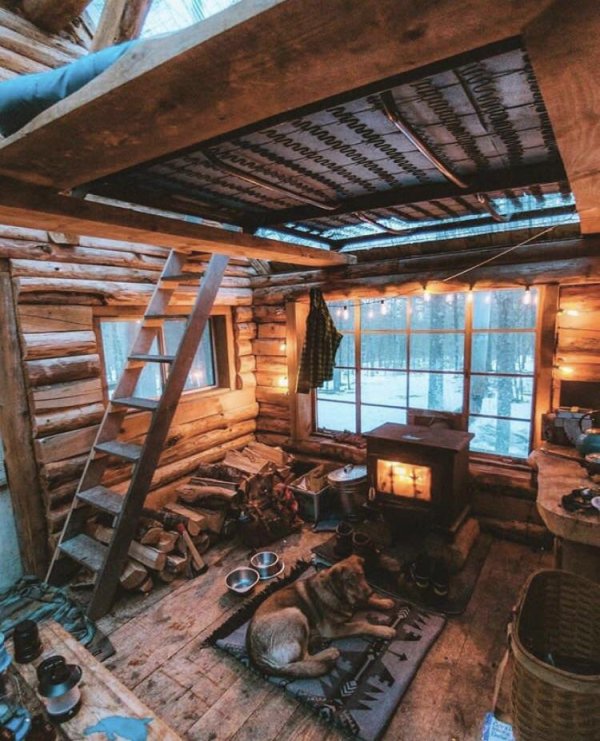 cool product cozy cabin