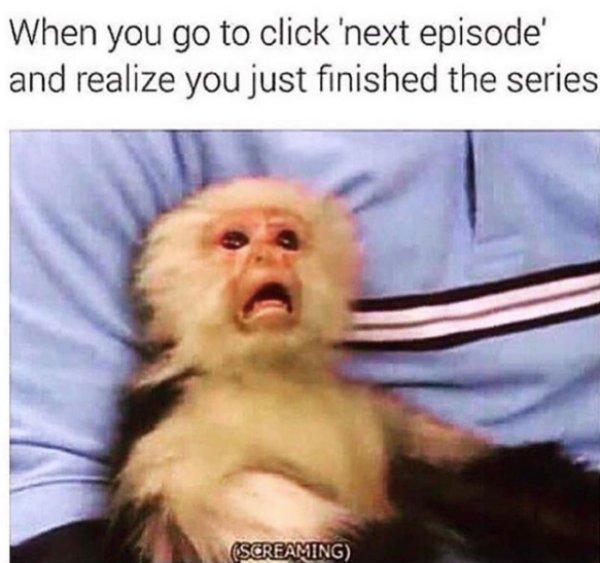 you go to click next episode - When you go to click 'next episode and realize you just finished the series Screaming