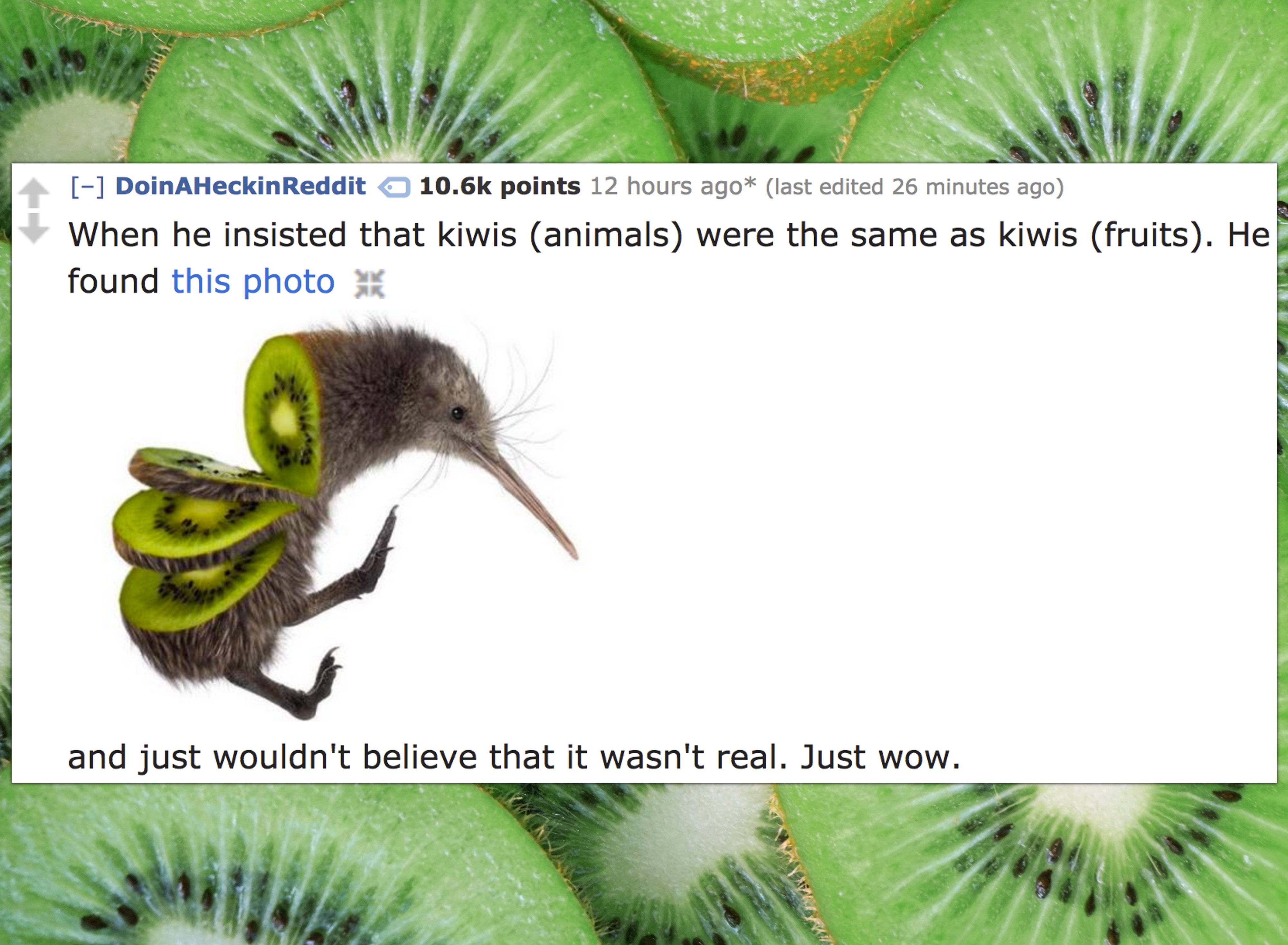 kiwi bird and fruit - DoinHeckinReddit points 12 hours ago last edited 26 minutes ago When he insisted that kiwis animals were the same as kiwis fruits. He found this photo X and just wouldn't believe that it wasn't real. Just wow.