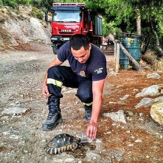 Fireman giving some water to a turtle