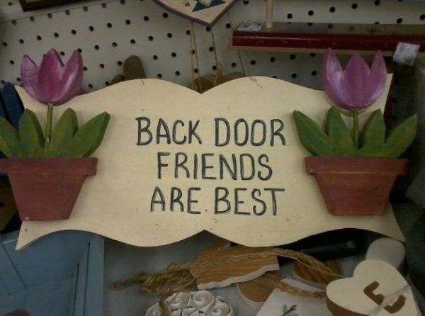 flower - Back Door Friends Are Best