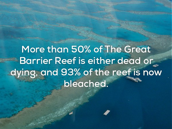 23 Awesome And Creepy Facts To Wrap Up The Weekend 