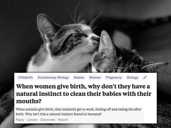 15 People asking these dumb questions about pregnancy shouldn’t be having babies