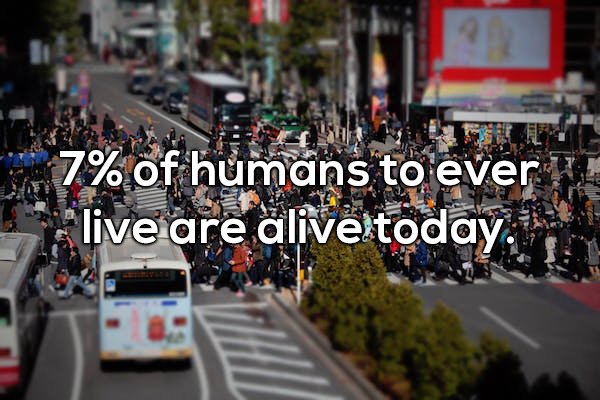 wtf facts - city crosswalk - 7% of humans to ever live are alive today.