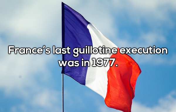 wtf facts - flag - France's last guillotine execution was in 1977.