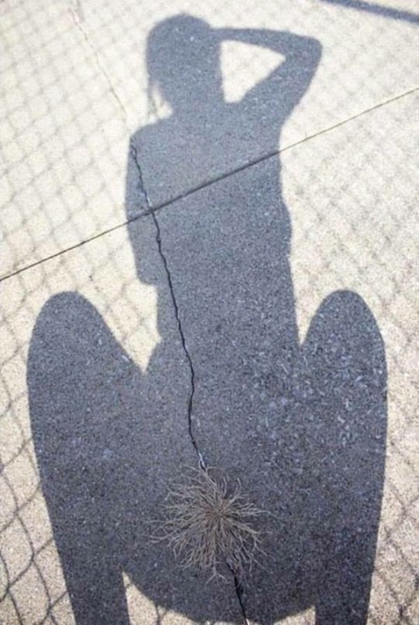 Woman squatting and her shadow has a plant growing right in the right spot.