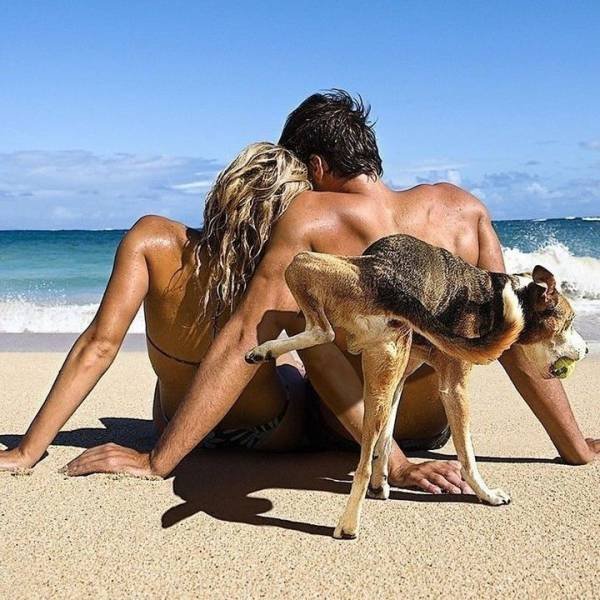 Couple at the beach getting peed on by dog.