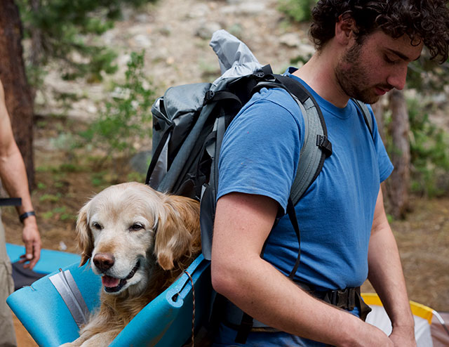 19 Photos To Remind You That Life Is Beautiful